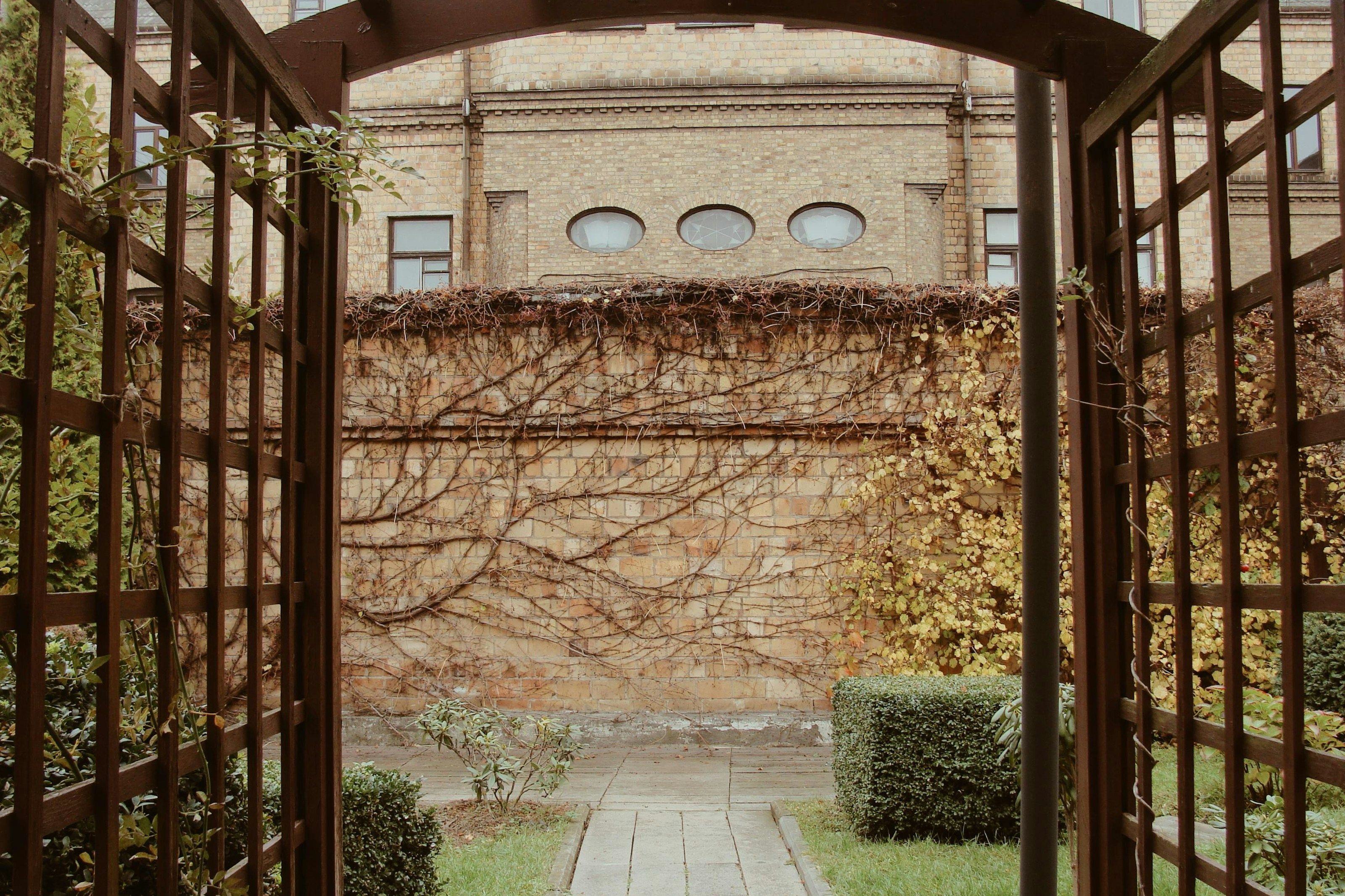A walled brick courtyard garden seen through an open trellis doorway