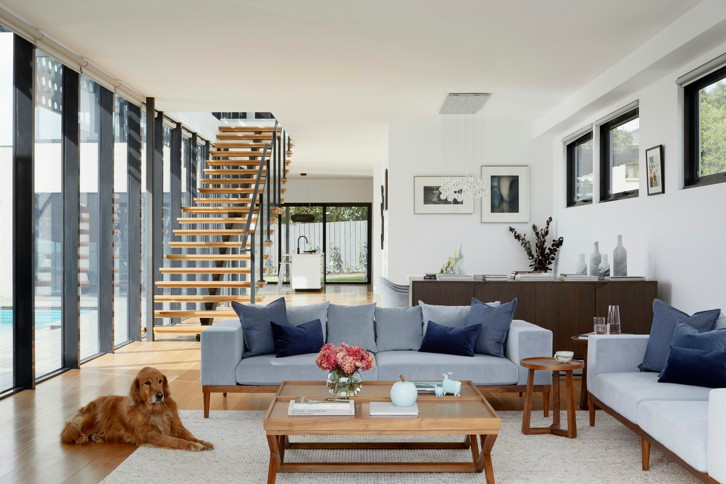 Living room with a grey sectional sofa and a floating stair, a dog resting on the rug beside pool-facing glazing